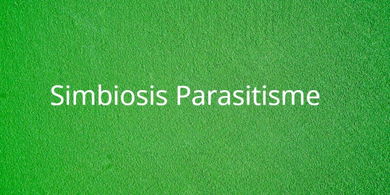 √ Simbiosis Parasitisme | Pengertian dan Contohnya